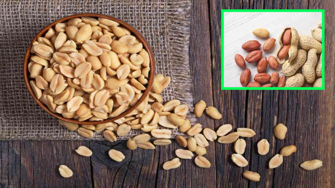 Peanuts : పోషకాలు పుష్కలంగా..ఆరోగ్యం పదిలంగా Peanuts : పోషకాలు పుష్కలంగా..ఆరోగ్యం పదిలంగా