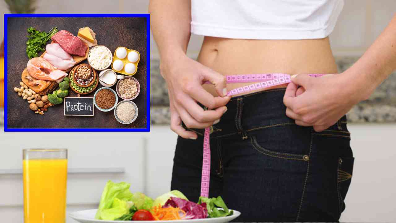 Protein Rich Foods : ఈ ప్రొటీన్ రిచ్ ఫుడ్స్ బరువు తగ్గించటంలో! Protein Rich Foods : ఈ ప్రొటీన్ రిచ్ ఫుడ్స్ బరువు తగ్గించటంలో!