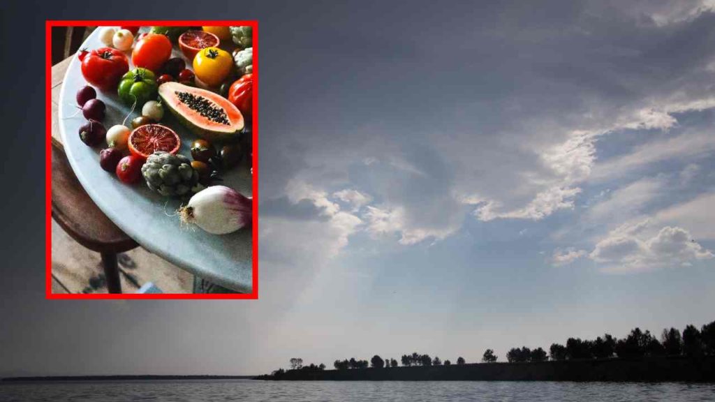 rainy season Foods