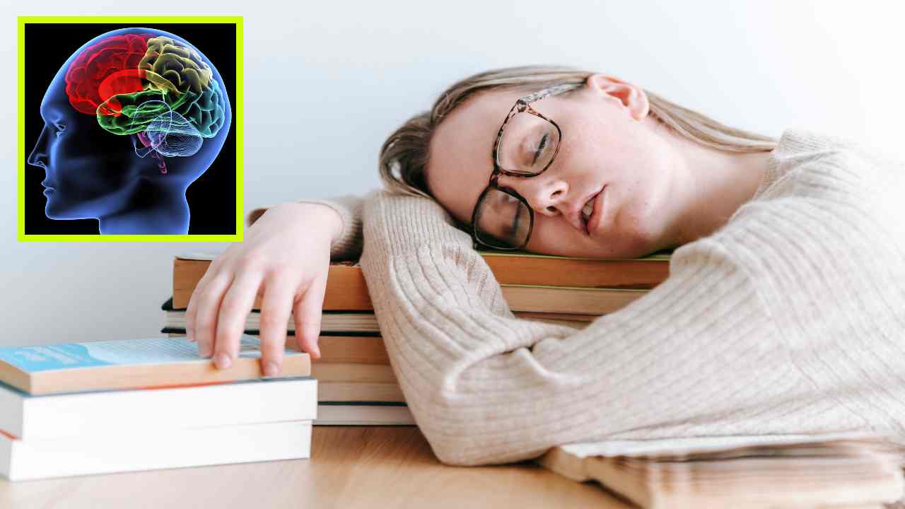 Sleep Problems : నిద్రలేమి సమస్యలతో మెదడుపై తీవ్రమైన ప్రభావం పడుతుందా? Sleep Problems : నిద్రలేమి సమస్యలతో మెదడుపై తీవ్రమైన ప్రభావం పడుతుందా?