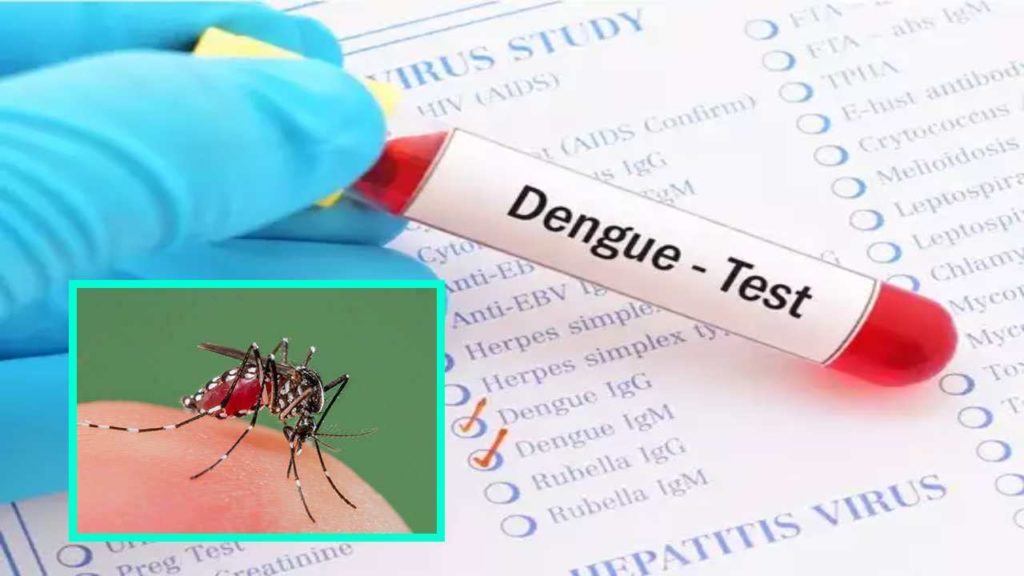 Dengue Precautions :