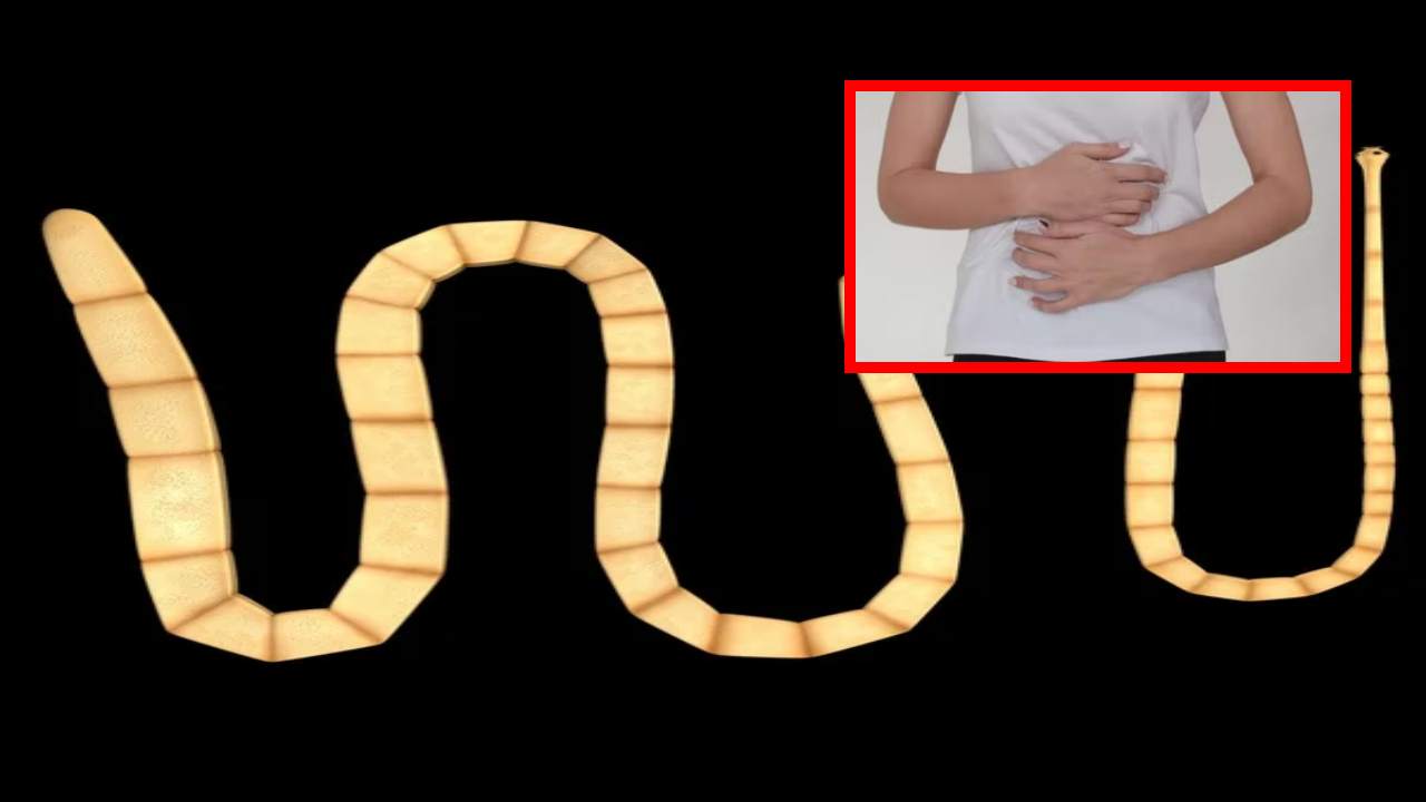 Tapeworms Home Remedies మనుషులలో ఆరోగ్యసమస్యలను తెచ్చిపెట్టే బద్దె