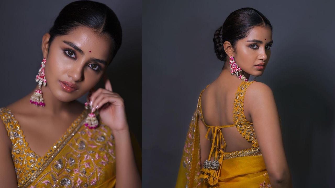 Anupama Parameswaran: చీర వయ్యారంలో అనుపమ పరమేశ్వరన్ సోయగం..