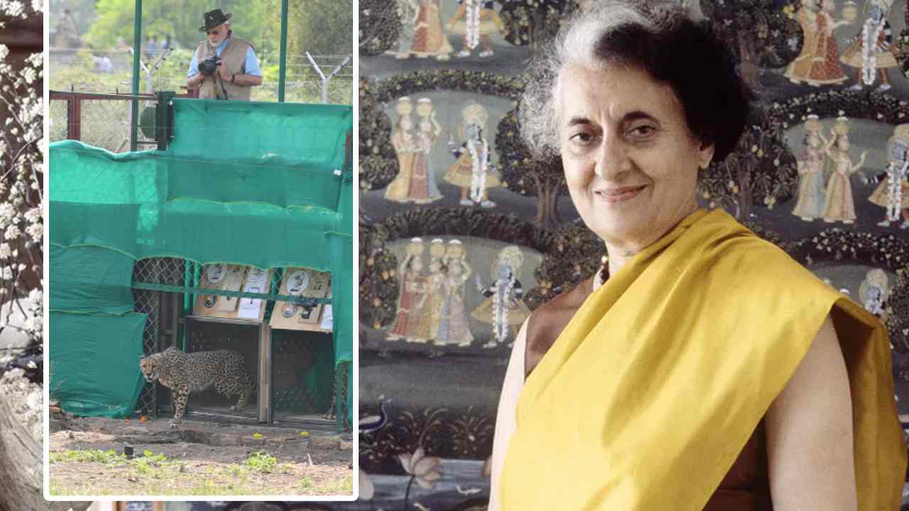 Cheetahs Landed In India: 1970లోనే చీతాలను ఇండియాకు తీసుకొచ్చేందుకు ప్రయత్నించిన ఇందిరాగాంధీ.. ఎందుకు సాధ్యపడలేదంటే? Cheetahs Landed In India: 1970లోనే చీతాలను ఇండియాకు తీసుకొచ్చేందుకు ప్రయత్నించిన ఇందిరాగాంధీ.. ఎందుకు సాధ్యపడలేదంటే?