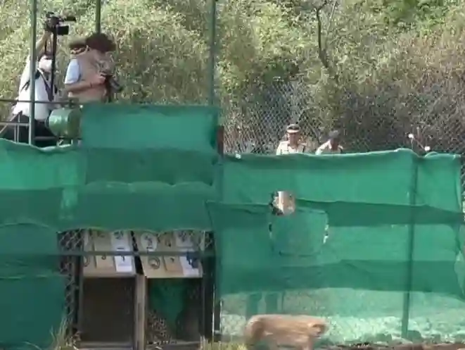 Prime Minister Narendra Modi releases the cheetahs at Kuno National Park in Madhya Pradesh