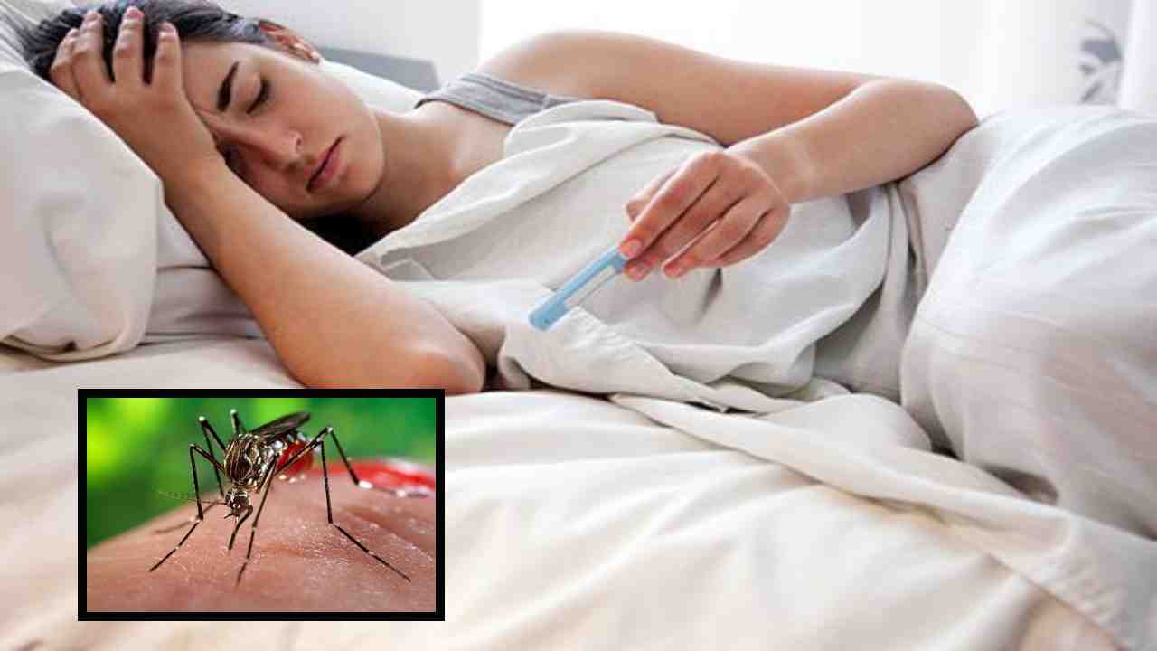 Chikungunya : చికున్ గున్యా బారిన పడితే కోలుకోవటం కష్టమేనా? త్వరగా కోలుకోవాలంటే! Chikungunya : చికున్ గున్యా బారిన పడితే కోలుకోవటం కష్టమేనా? త్వరగా కోలుకోవాలంటే!