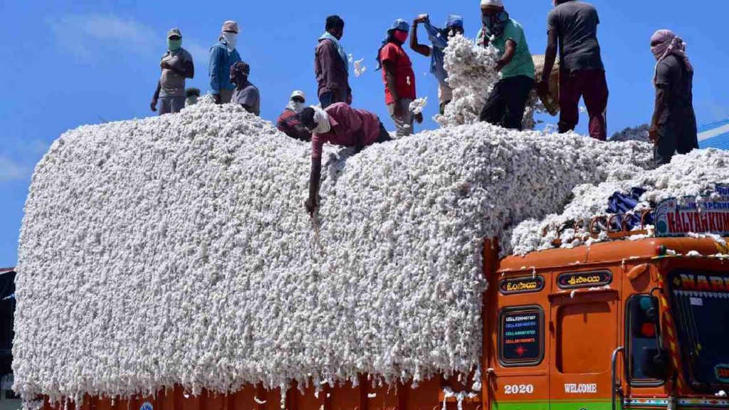Cotton Imports From India
