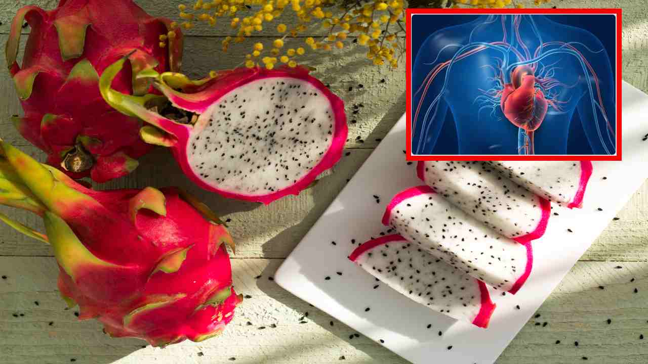 Dragon Fruit : కొలెస్ట్రాల్ ను నియంత్రణలో ఉంచి గుండెకు మేలు చేసే డ్రాగన్ ఫ్రూట్! Dragon Fruit : కొలెస్ట్రాల్ ను నియంత్రణలో ఉంచి గుండెకు మేలు చేసే డ్రాగన్ ఫ్రూట్!