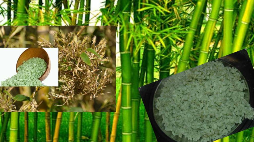 Health Benefits with Bamboo rice
