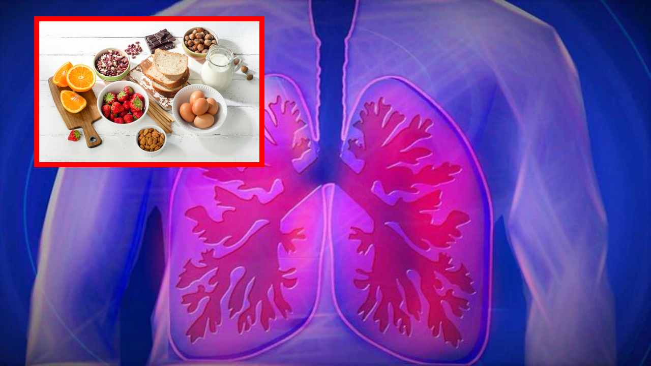 Healthy Lungs : ఊపిరితిత్తుల క్యాన్సర్ దరిచేరకుండా ఉండాలంటే ఆరోగ్యకరమైన అలవాట్లే ముఖ్యం! ఊపిరితిత్తుల ఆరోగ్యం కోసం ఈ ఆహారాలు తీసుకోవటం మేలు! Healthy Lungs : ఊపిరితిత్తుల క్యాన్సర్ దరిచేరకుండా ఉండాలంటే ఆరోగ్యకరమైన అలవాట్లే ముఖ్యం! ఊపిరితిత్తుల ఆరోగ్యం కోసం ఈ ఆహారాలు తీసుకోవటం మేలు!