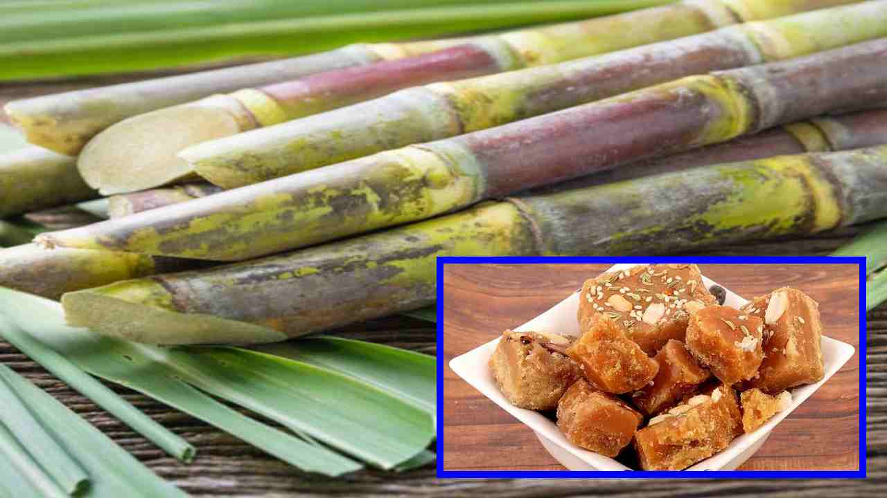 Jaggery : బెల్లం అతిగా తీసుకుంటే శరీరానికి హానికలుగుతుందా? Jaggery : బెల్లం అతిగా తీసుకుంటే శరీరానికి హానికలుగుతుందా?