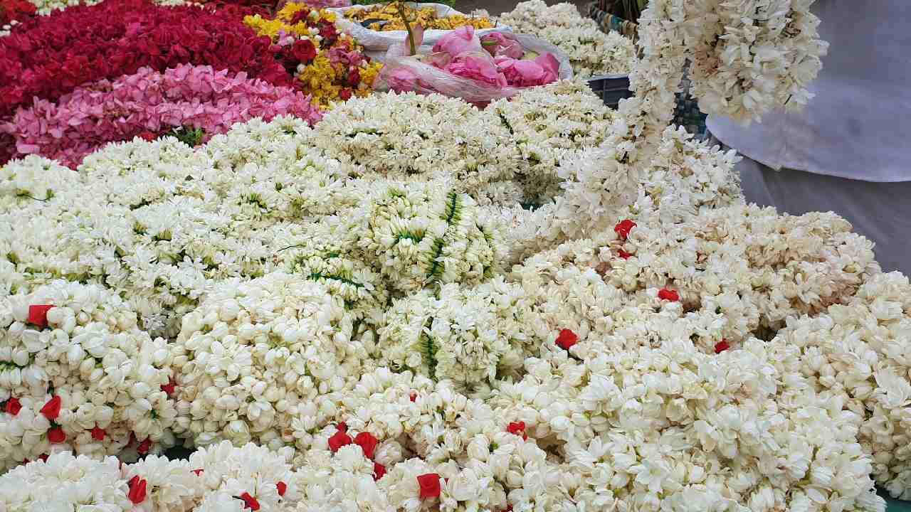 Jasmine Price: ఆకాశాన్నంటిన మల్లెపూల ధరలు.. కిలో రూ.3వేలు.. ఎందుకింత రేటు Jasmine Price: ఆకాశాన్నంటిన మల్లెపూల ధరలు.. కిలో రూ.3వేలు.. ఎందుకింత రేటు