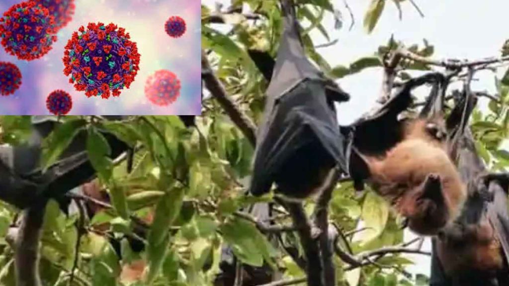 Khosta-2 Virus