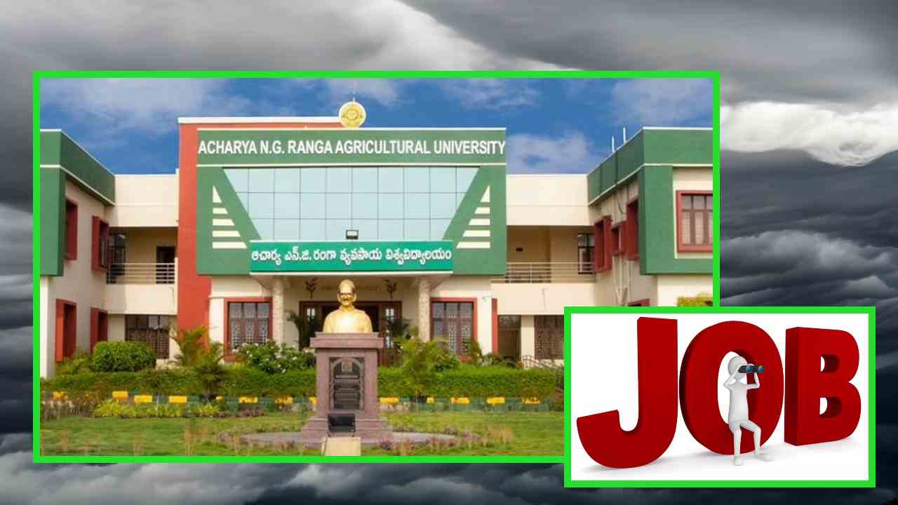 ANGRAU Recruitment : లాం రీజినల్ అగ్రికల్చరల్ రిసెర్చ్ స్టేషన్ లో తాత్కాలిక ప్రాతిపదికన ఉద్యోగాల భర్తీ ANGRAU Recruitment : లాం రీజినల్ అగ్రికల్చరల్ రిసెర్చ్ స్టేషన్ లో తాత్కాలిక ప్రాతిపదికన ఉద్యోగాల భర్తీ