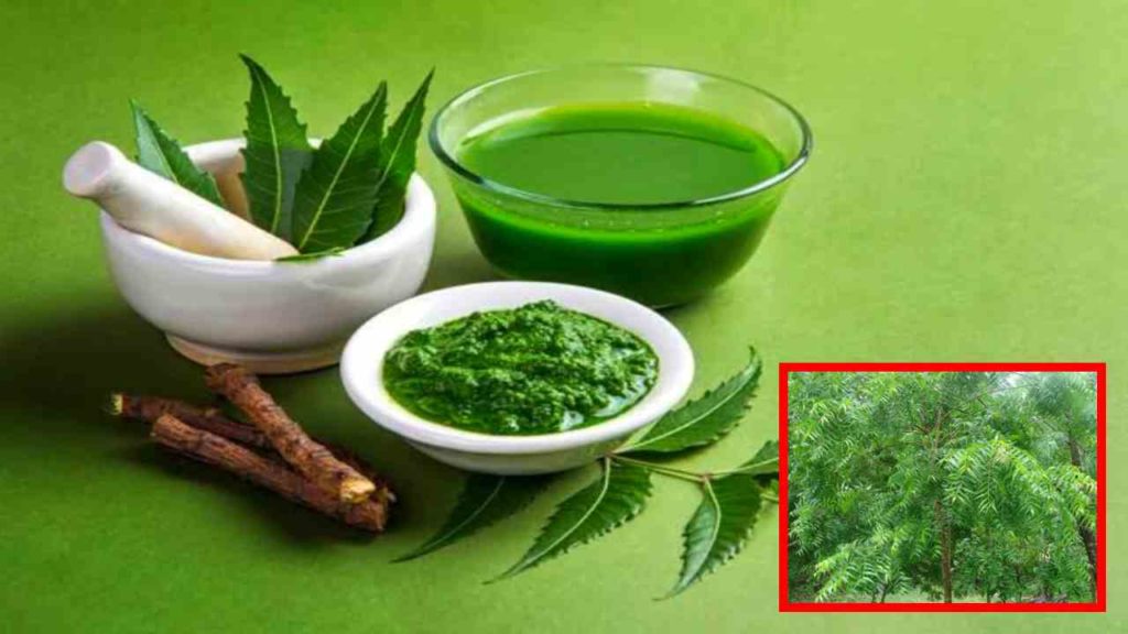 Neem-benefits