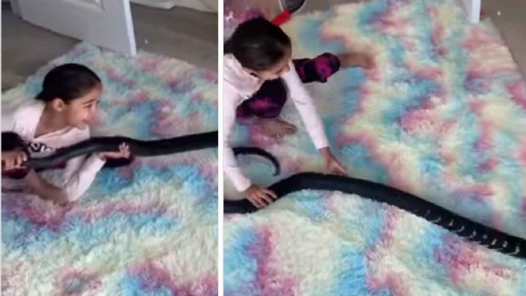 Girl playing with huge python
