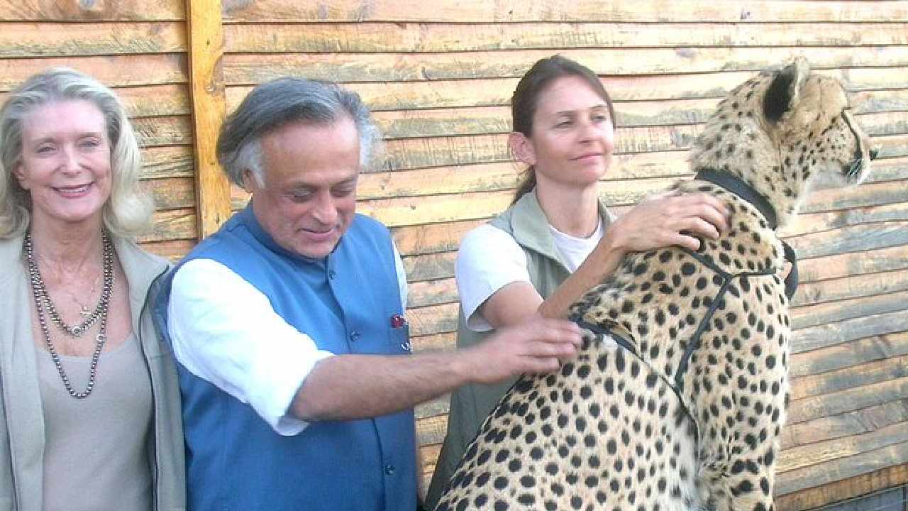 Congress Claims Credit for ‘Project Cheetah’: భారత్కు చీతాలు వస్తున్నాయంటే ఆ గొప్పదనం మాదే: కాంగ్రెస్ Congress Claims Credit for ‘Project Cheetah’: భారత్కు చీతాలు వస్తున్నాయంటే ఆ గొప్పదనం మాదే: కాంగ్రెస్