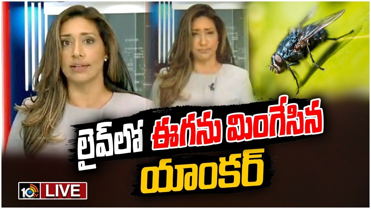 యాంకర్ డెడికేషన్‌కు సోషల్ మీడియా ఫిదా