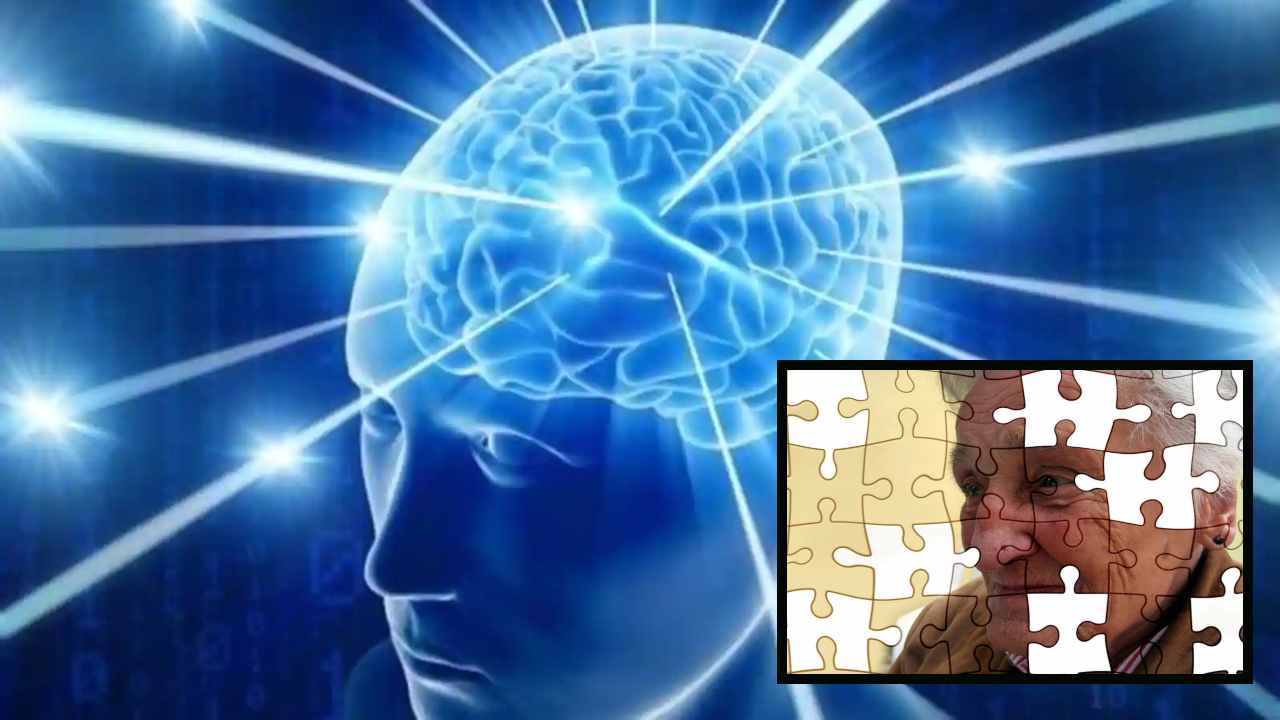 Prevention of Alzheimer’s : వయసు పైబడిన వారిలో అల్జీమర్స్ రాకుండా ఉండాలంటే ముందునుండే జాగ్రత్తలు అవసరం! Prevention of Alzheimer’s : వయసు పైబడిన వారిలో అల్జీమర్స్ రాకుండా ఉండాలంటే ముందునుండే జాగ్రత్తలు అవసరం!