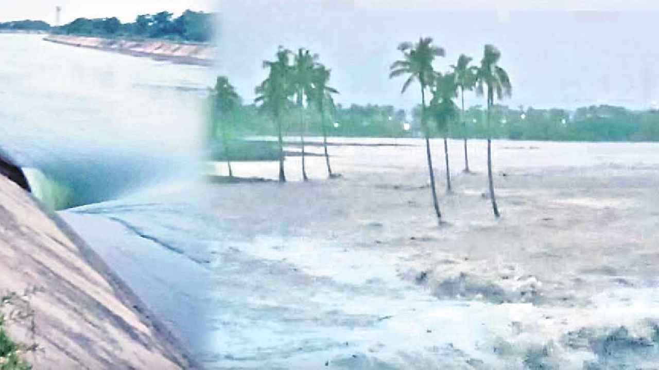 Sagar Left Canal Breached : సాగర్ ఎడమ కాలువకు గండి.. ముంచెత్తిన వరద.. భారీగా పంట నష్టం Sagar Left Canal Breached : సాగర్ ఎడమ కాలువకు గండి.. ముంచెత్తిన వరద.. భారీగా పంట నష్టం