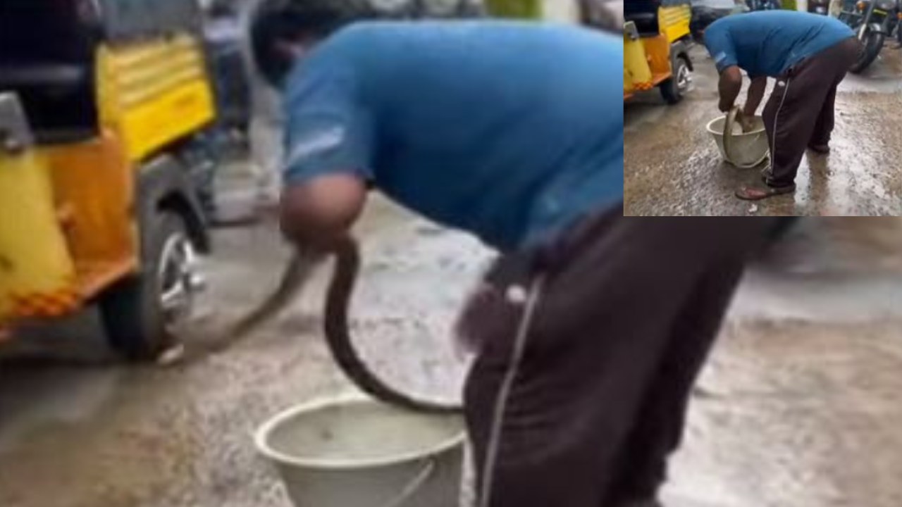 Man Bathed Snake : పాముకు స్నానం చేయించిన స్నేక్ క్యాచర్ Man Bathed Snake : పాముకు స్నానం చేయించిన స్నేక్ క్యాచర్