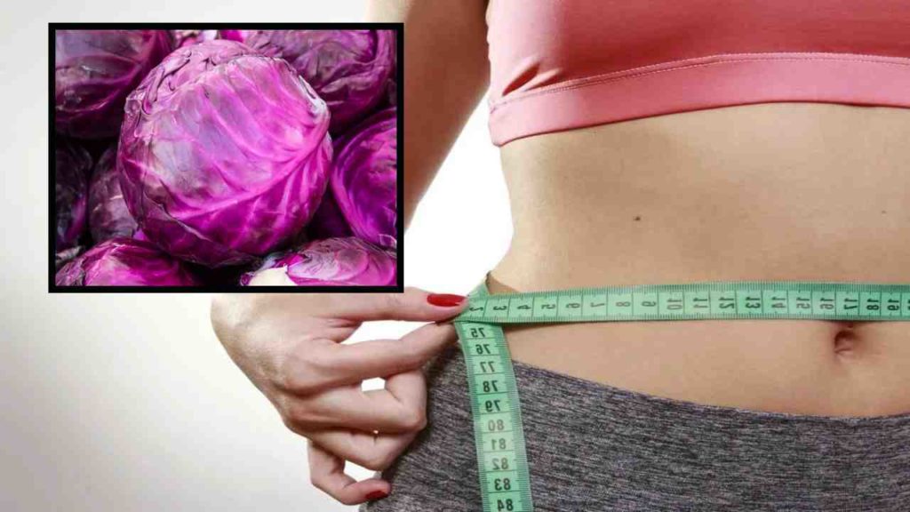 Trying to lose weight_ Include purple cabbage in your daily diet!
