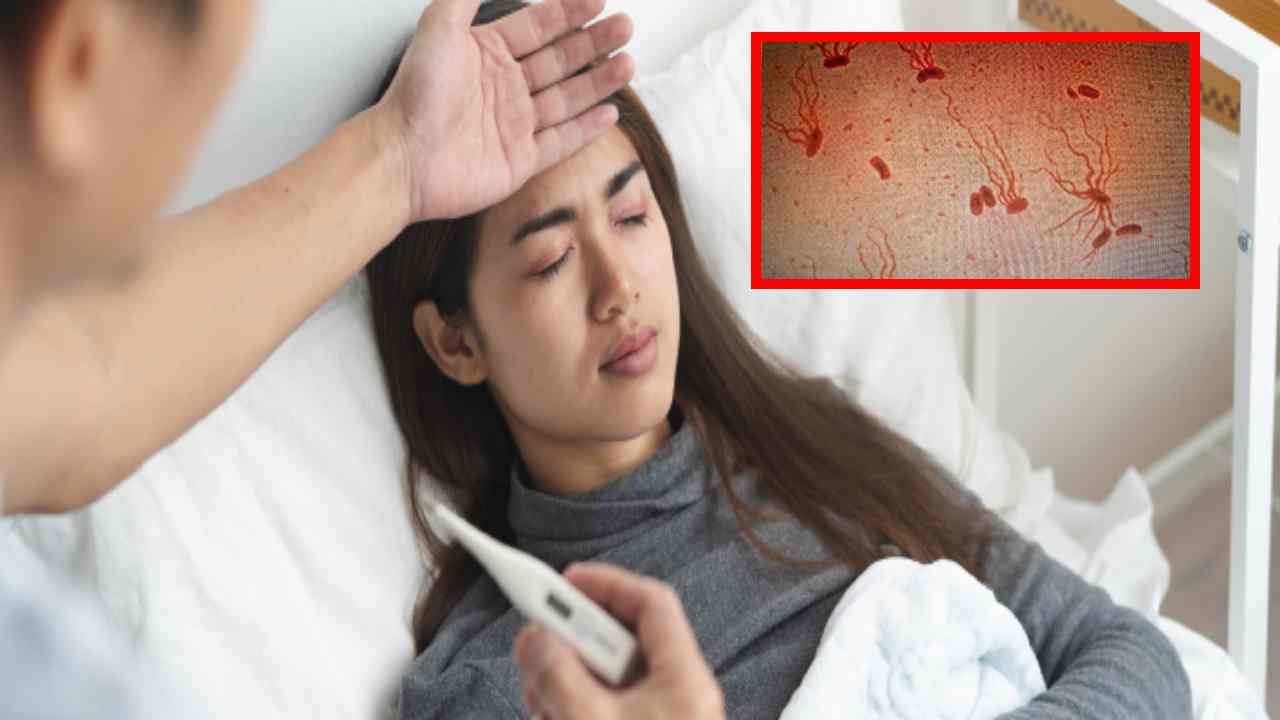 Typhoid Fever : టైఫాడ్ జ్వరమా! ఈ లక్షణాలుంటే జాగ్రత్త పడాల్సిందే? Typhoid Fever : టైఫాడ్ జ్వరమా! ఈ లక్షణాలుంటే జాగ్రత్త పడాల్సిందే?