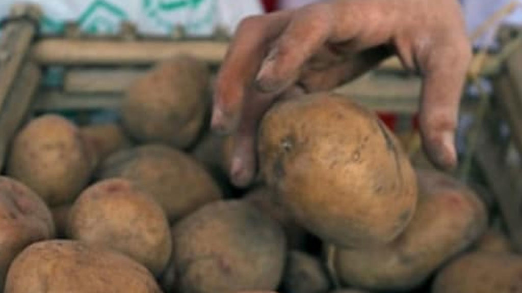 Bihar Man Orders Drone Camera From Online Shopping Site, Receives Potatoes Instead