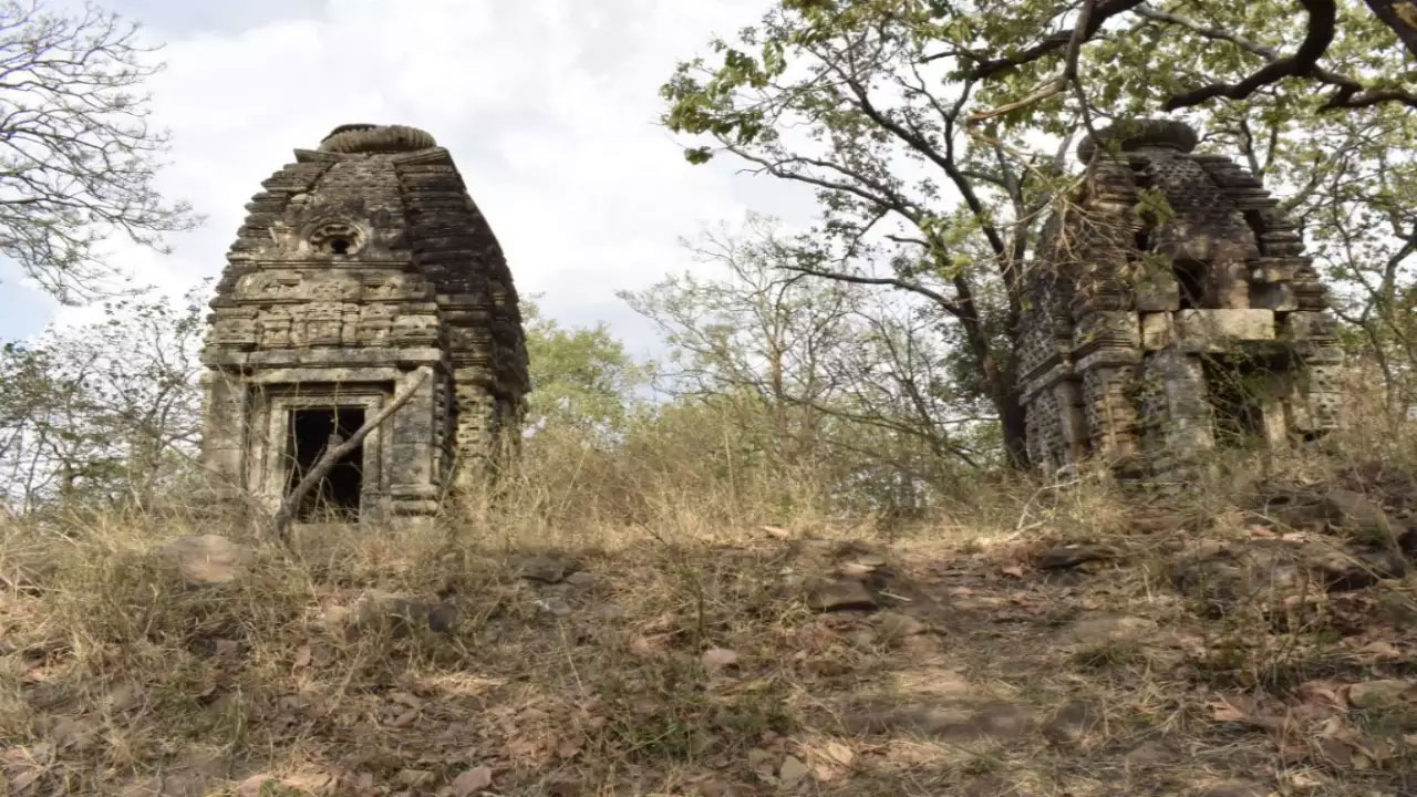 Bandhavgarh: పులులు తిరిగే అడవిలో బయటపడ్డ పురాతన ఆలయాలు, బౌద్ధారామాలు, గుహలు Bandhavgarh: పులులు తిరిగే అడవిలో బయటపడ్డ పురాతన ఆలయాలు, బౌద్ధారామాలు, గుహలు