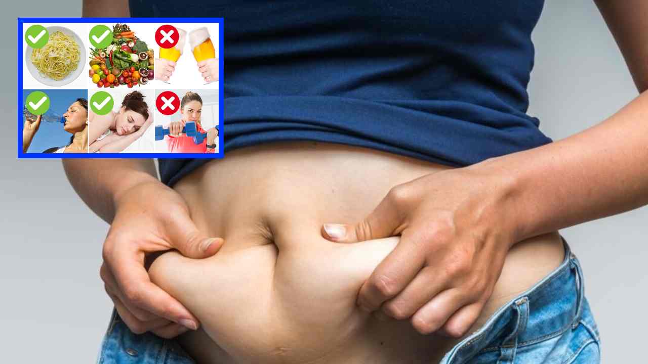 Lose Belly Fat : పొట్ట వద్ద కొవ్వు కరగాలంటే ఎలాంటి ఆహారం తీసుకోవాలి? Lose Belly Fat : పొట్ట వద్ద కొవ్వు కరగాలంటే ఎలాంటి ఆహారం తీసుకోవాలి?