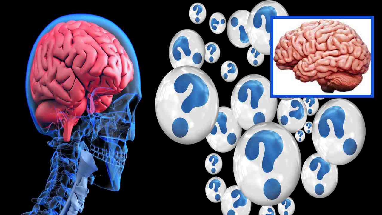 Brain : ఈ అలవాట్లు మెదడుపై తీవ్రమైన ప్రభావాన్ని చూపిస్తాయ్ జాగ్రత్త! Brain : ఈ అలవాట్లు మెదడుపై తీవ్రమైన ప్రభావాన్ని చూపిస్తాయ్ జాగ్రత్త!