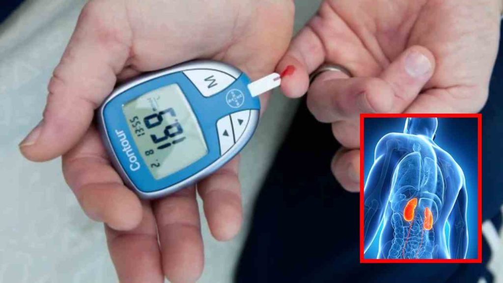 diabetic patients have kidney damage