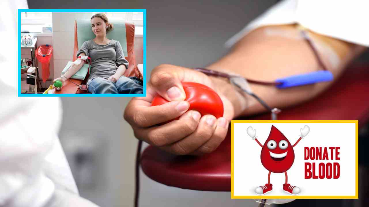 Donate Blood : రక్తదానం చేయాలనుకునేవారు నివారించాల్సిన తప్పులు ఇవే! Donate Blood : రక్తదానం చేయాలనుకునేవారు నివారించాల్సిన తప్పులు ఇవే!