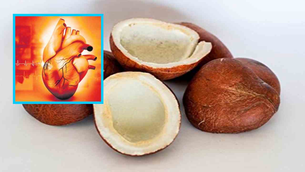Dried Coconut : గుండె ఆరోగ్యానికి ఎండు కొబ్బరిలోని ఫైబర్ తో ప్రయోజనమే! Dried Coconut : గుండె ఆరోగ్యానికి ఎండు కొబ్బరిలోని ఫైబర్ తో ప్రయోజనమే!