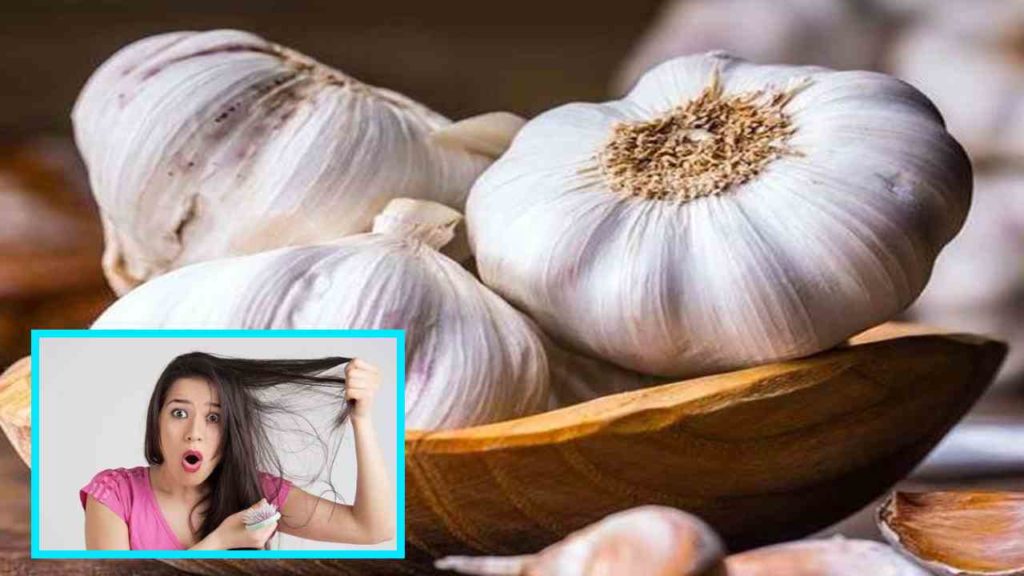 garlic