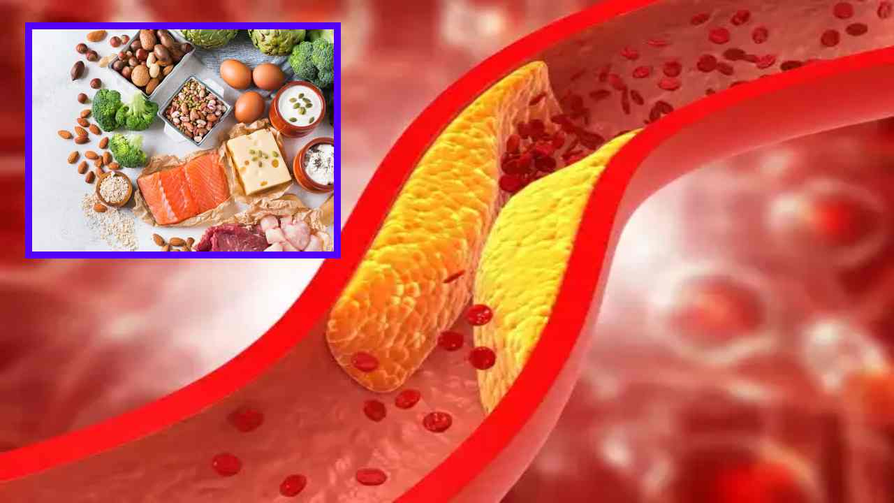 Lower Cholesterol : ఉత్తమ ప్రోటీన్ వనరులను మీ ఆహారంలో చేర్చుకోవటం ద్వారా కొలెస్ట్రాల్ను ఎలా తగ్గించాలంటే? Lower Cholesterol : ఉత్తమ ప్రోటీన్ వనరులను మీ ఆహారంలో చేర్చుకోవటం ద్వారా కొలెస్ట్రాల్ను ఎలా తగ్గించాలంటే?