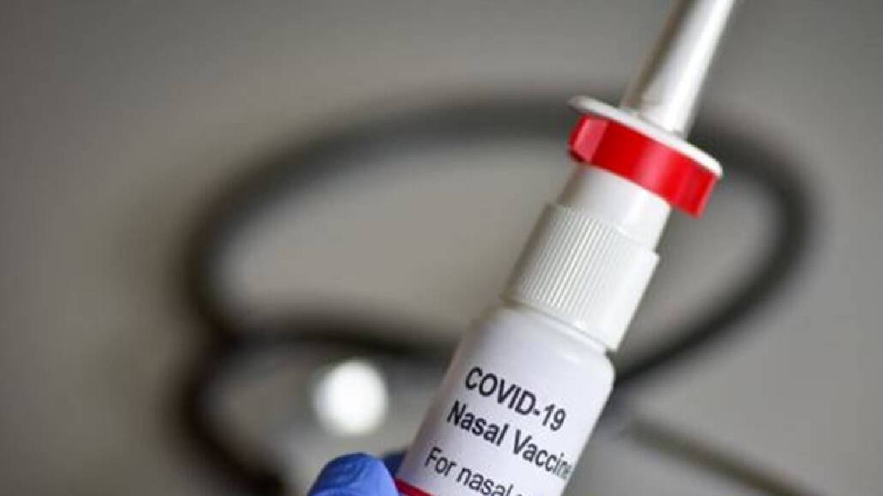 Bharat Biotech’s nasal vaccine: కొవిడ్పై పోరాటంలో భారత్ మరింత శక్తిమంతం.. ‘ముక్కు’ టీకా వినియోగానికి డీసీజీఐ అనుమతి Bharat Biotech’s nasal vaccine: కొవిడ్పై పోరాటంలో భారత్ మరింత శక్తిమంతం.. ‘ముక్కు’ టీకా వినియోగానికి డీసీజీఐ అనుమతి