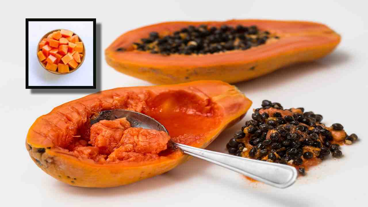 Papaya Fruit : బొప్పాయిని ఈ పండ్లు, పదార్దాలతో కలిపి తీసుకుంటే ఆరోగ్యపరమైన ఇబ్బందులు తప్పవా? Papaya Fruit : బొప్పాయిని ఈ పండ్లు, పదార్దాలతో కలిపి తీసుకుంటే ఆరోగ్యపరమైన ఇబ్బందులు తప్పవా?