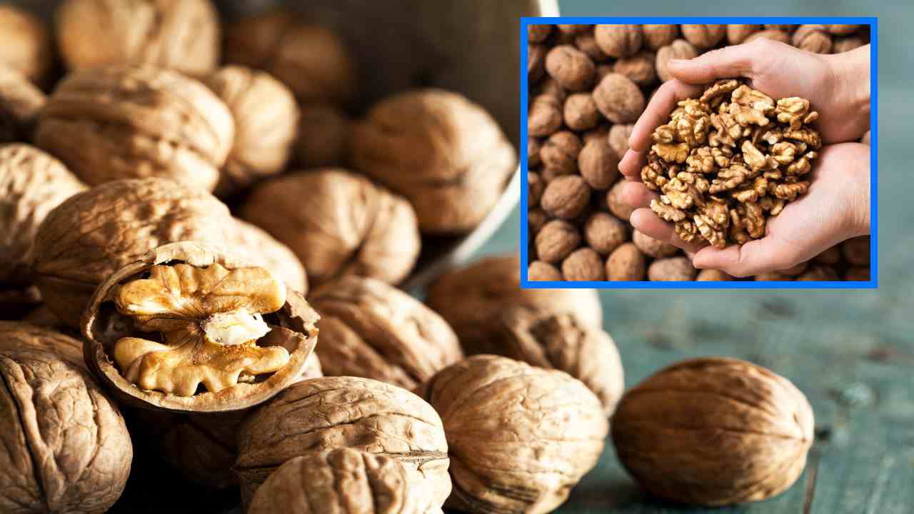 walnuts Benefits : థైరాయిడ్ సమస్యలతోపాటు, క్యాన్సర్ దరిచేరకుండా సహాయపడే వాల్ నట్స్! walnuts Benefits : థైరాయిడ్ సమస్యలతోపాటు, క్యాన్సర్ దరిచేరకుండా సహాయపడే వాల్ నట్స్!