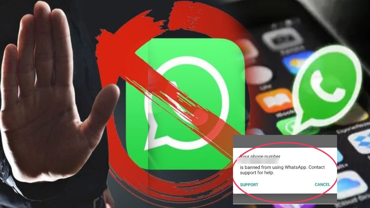 Whatsapp Alert : ఈ 5 తప్పులు అసలే చేయొద్దు.. వాట్సాప్ మీ అకౌంట్ బ్యాన్ చేయొచ్చు.. తస్మాత్ జాగ్రత్త! Whatsapp Alert : ఈ 5 తప్పులు అసలే చేయొద్దు.. వాట్సాప్ మీ అకౌంట్ బ్యాన్ చేయొచ్చు.. తస్మాత్ జాగ్రత్త!