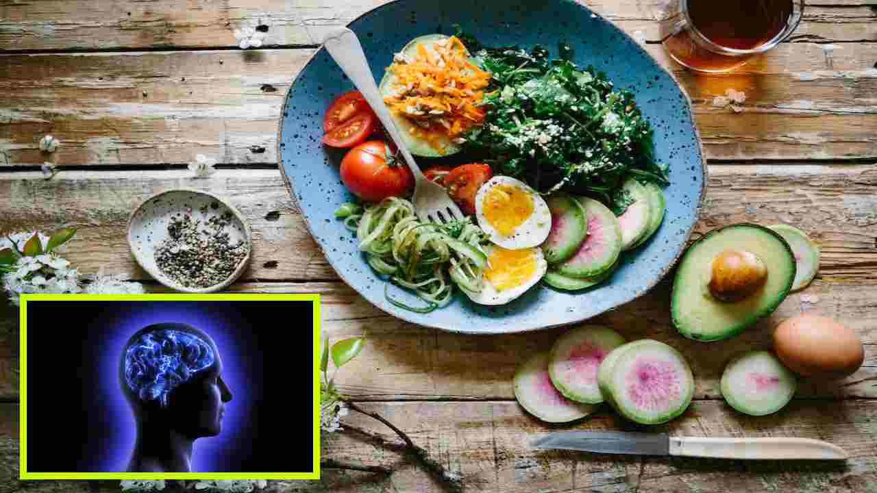 Better Brain Function : మెదడు పనితీరు మెరుగ్గా ఉండాలంటే ఈ పోషకాల లోపం లేకుండా చూసుకోండి! Better Brain Function : మెదడు పనితీరు మెరుగ్గా ఉండాలంటే ఈ పోషకాల లోపం లేకుండా చూసుకోండి!