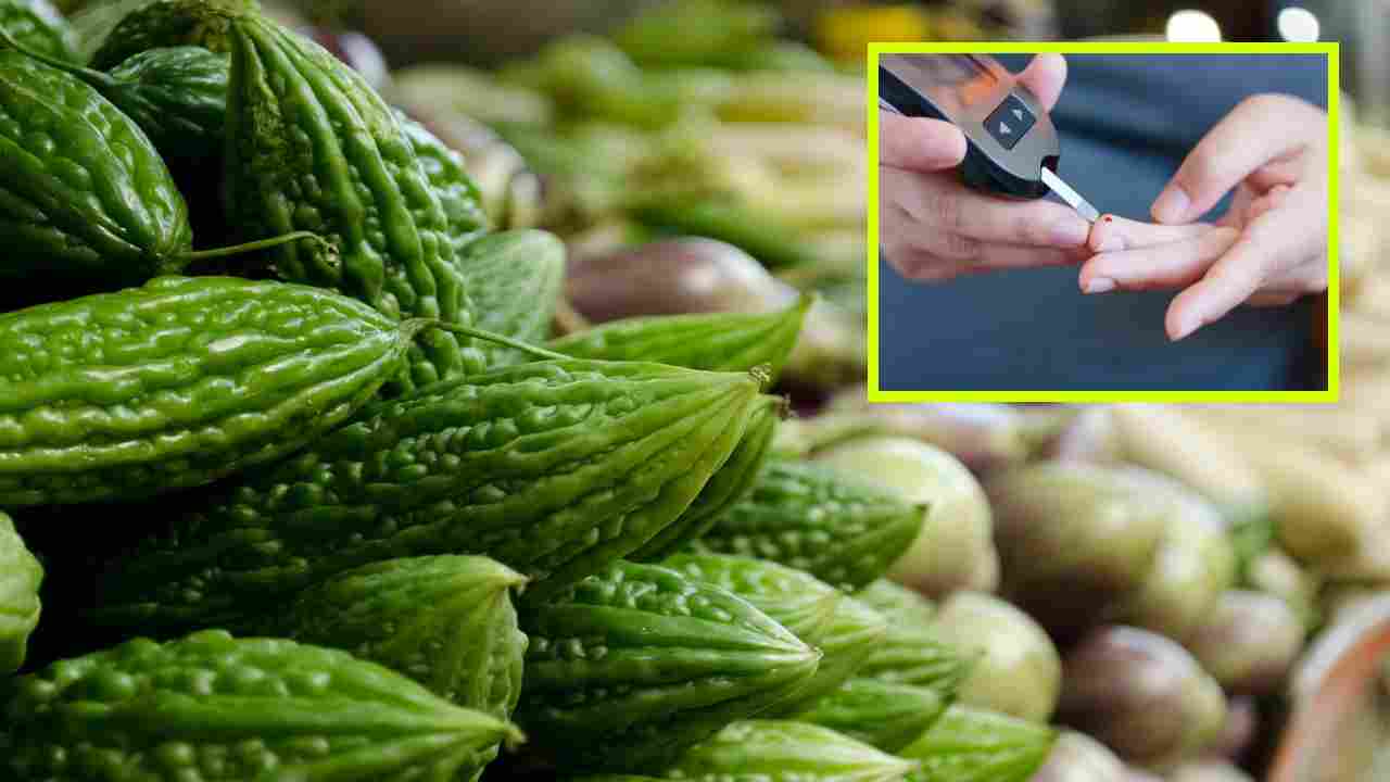 Bitter Gourd : మధుమేహాన్ని నియంత్రణలో ఉంచే కాకరకాయ? షుగర్ కు కాకరకాయకు ఉన్న సంబంధం ఏంటంటే? Bitter Gourd : మధుమేహాన్ని నియంత్రణలో ఉంచే కాకరకాయ? షుగర్ కు కాకరకాయకు ఉన్న సంబంధం ఏంటంటే?