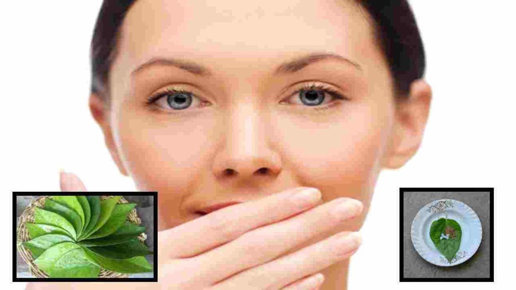 Can two betel leaves mixed with camphor a day cure eye problems?