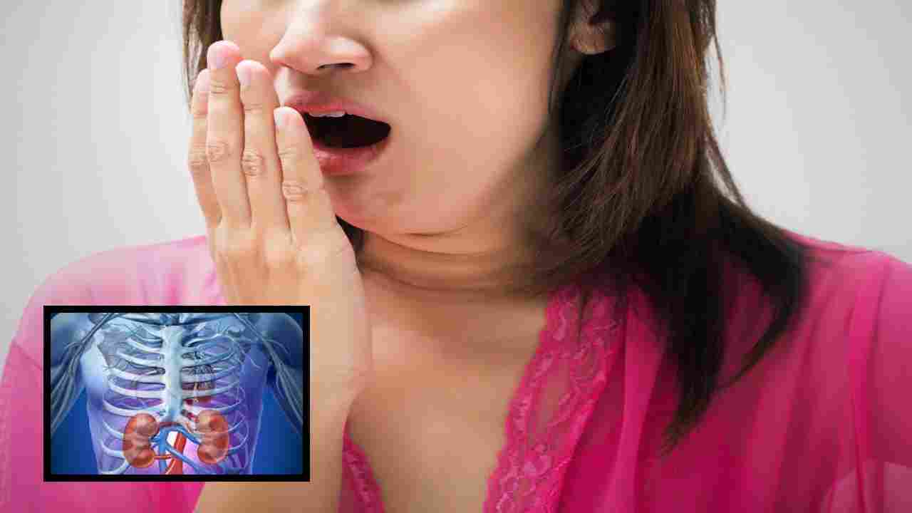 Bad Breath : నోటి నుండి దుర్వాసన వస్తుందా? కిడ్నీ సమస్య లక్షణాల్లో ఇదీ కూడా ఒకటా? Bad Breath : నోటి నుండి దుర్వాసన వస్తుందా? కిడ్నీ సమస్య లక్షణాల్లో ఇదీ కూడా ఒకటా?