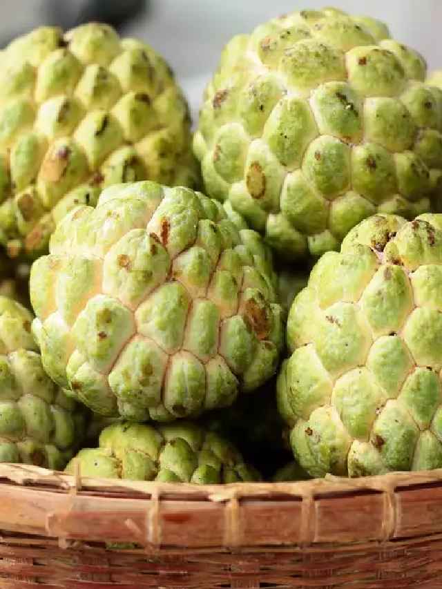 శరీరానికి తక్షణ శక్తినిచ్చే సీతాఫలం 10TV Telugu Superb health benefits of custard apple10TV