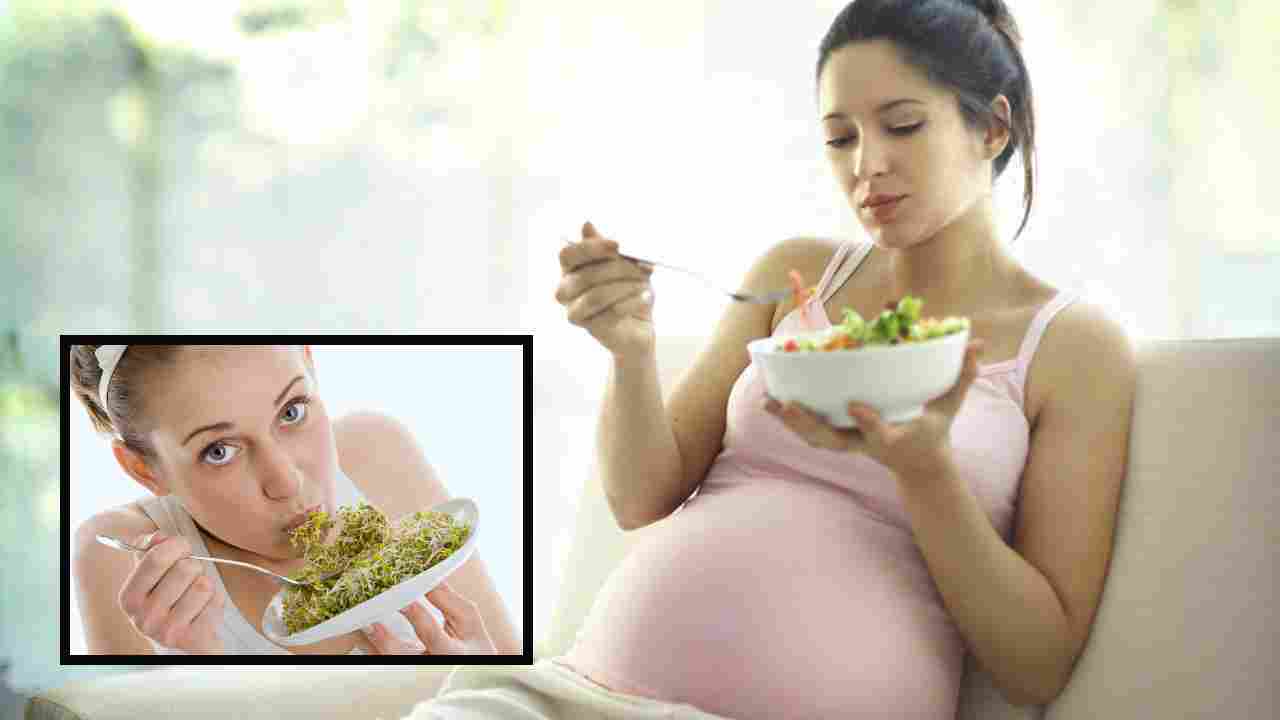 Sprouts : గర్భిణీలు మొలకలు తింటే పుట్టబోయే బిడ్డలు ఆరోగ్యంగా ఉంటారు తెలుసా? Sprouts : గర్భిణీలు మొలకలు తింటే పుట్టబోయే బిడ్డలు ఆరోగ్యంగా ఉంటారు తెలుసా?