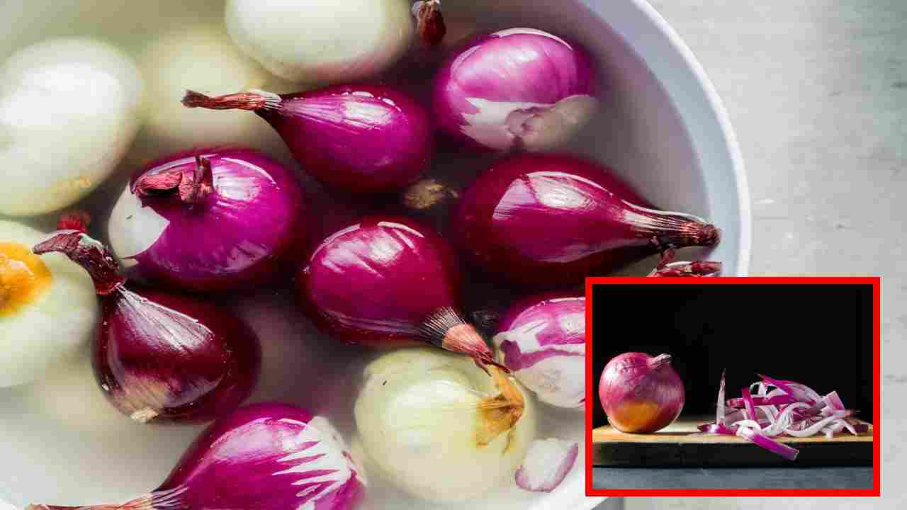 Eating Onions : ఉల్లిపాయలు అతిగా తింటున్నారా? అయితే ఆరోగ్య సమస్యలు వచ్చే ప్రమాదం పొంచిఉన్నట్లే! Eating Onions : ఉల్లిపాయలు అతిగా తింటున్నారా? అయితే ఆరోగ్య సమస్యలు వచ్చే ప్రమాదం పొంచిఉన్నట్లే!