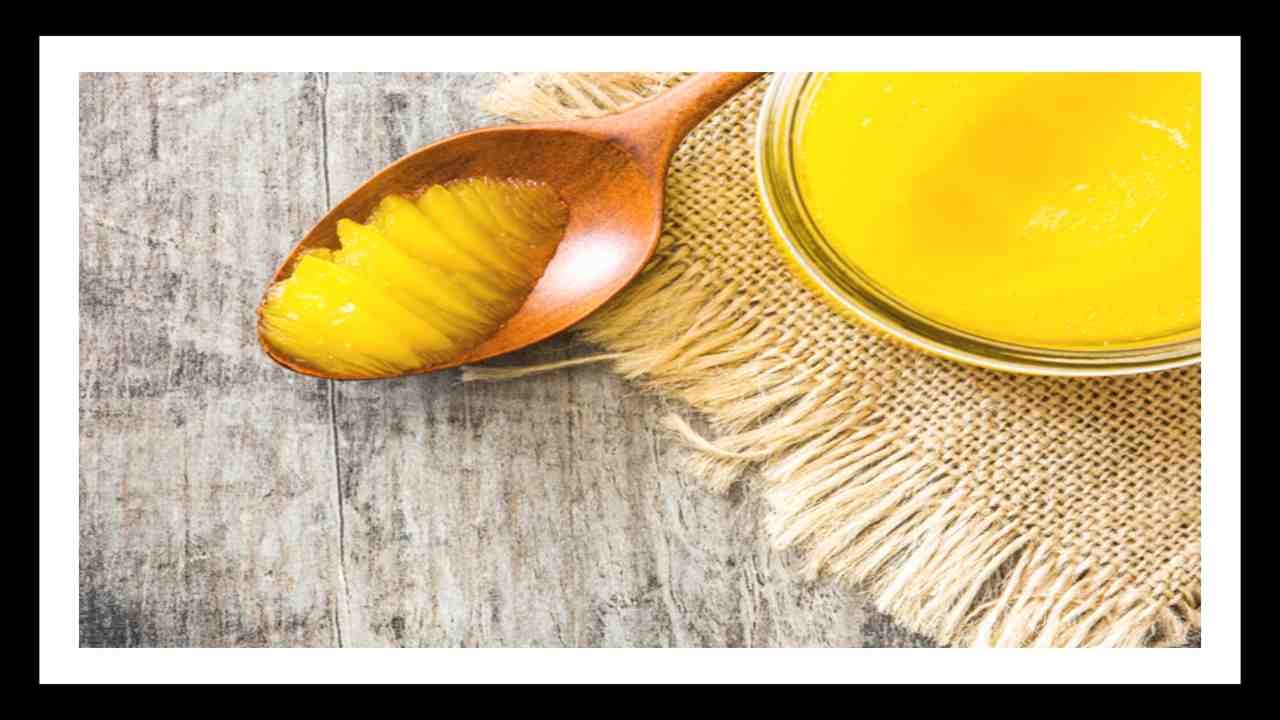 Ghee Benefits : జ్ఞాపకశక్తిని పెంచటంతోపాటు, నాడీ వ్యవస్ధని బలోపేతం చేసే నెయ్యి! రోజువారిగా నెయ్యి తీసుకుంటే ఎన్ని ప్రయోజనాలంటే? Ghee Benefits : జ్ఞాపకశక్తిని పెంచటంతోపాటు, నాడీ వ్యవస్ధని బలోపేతం చేసే నెయ్యి! రోజువారిగా నెయ్యి తీసుకుంటే ఎన్ని ప్రయోజనాలంటే?