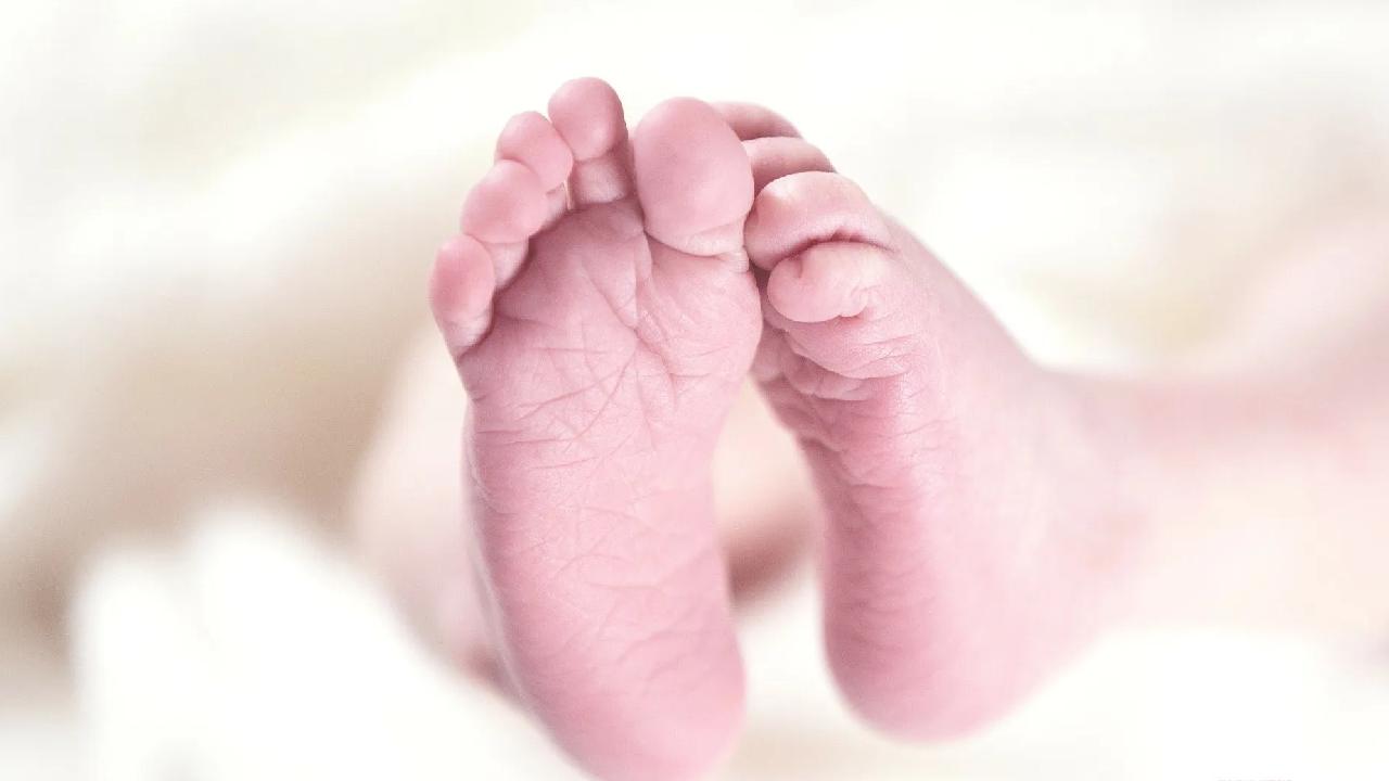 Girl Child Died: ఏడాదిన్నర చిన్నారిని వదిలేసి బయటకు వెళ్లిన తల్లి.. నీళ్ల బకెట్లో పడి పాప మృతి Girl Child Died: ఏడాదిన్నర చిన్నారిని వదిలేసి బయటకు వెళ్లిన తల్లి.. నీళ్ల బకెట్లో పడి పాప మృతి