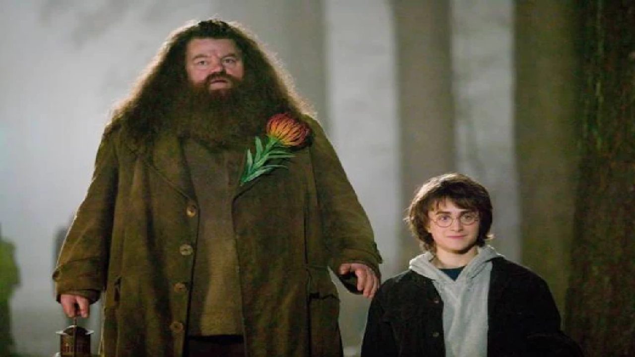 Harry Potter: “హ్యారీ పోటర్” నటుడు కన్నుమూత.. Harry Potter: “హ్యారీ పోటర్” నటుడు కన్నుమూత..
